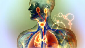 Role of the Endocrine System in Men’s Health