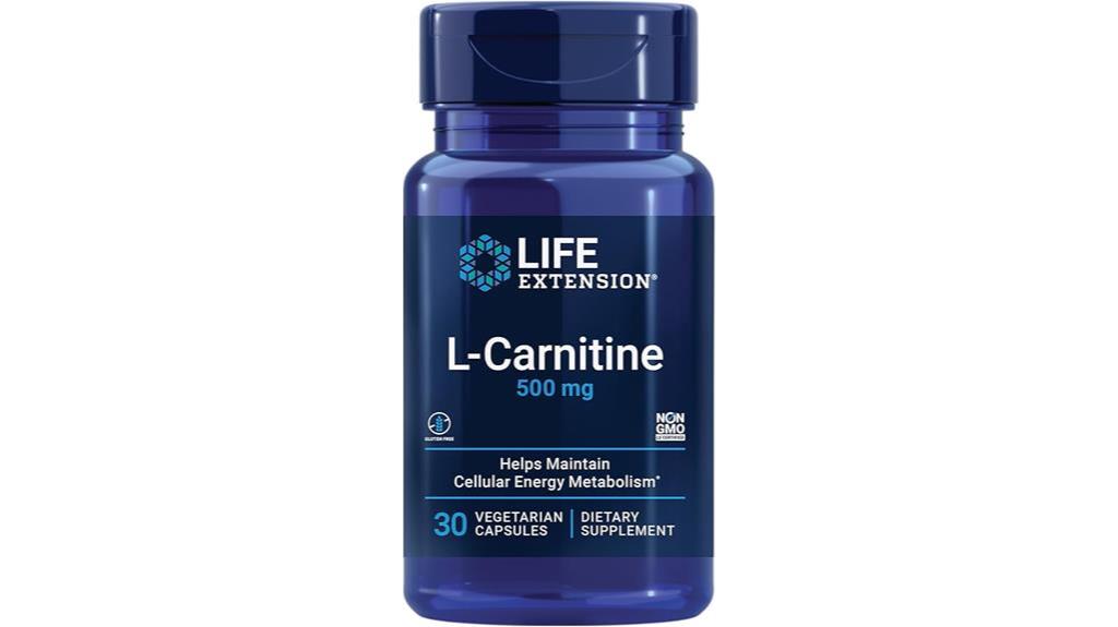 l carnitine energy supplement capsules